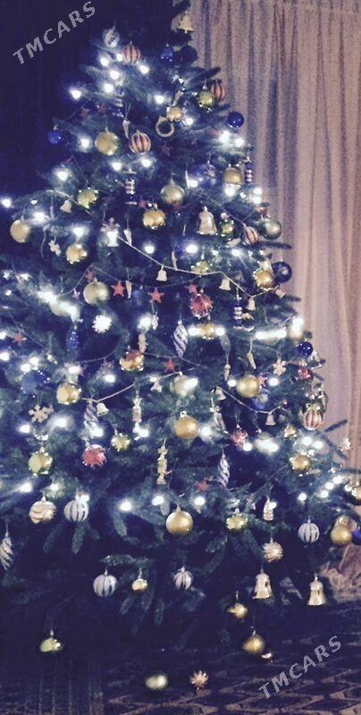 елка - Aşgabat - img 3