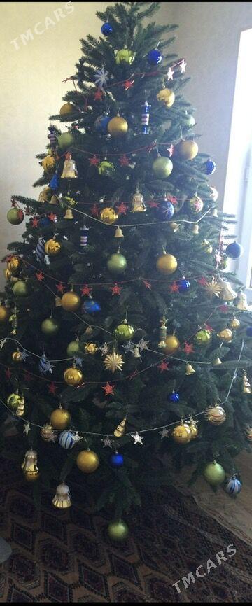 елка - Aşgabat - img 2