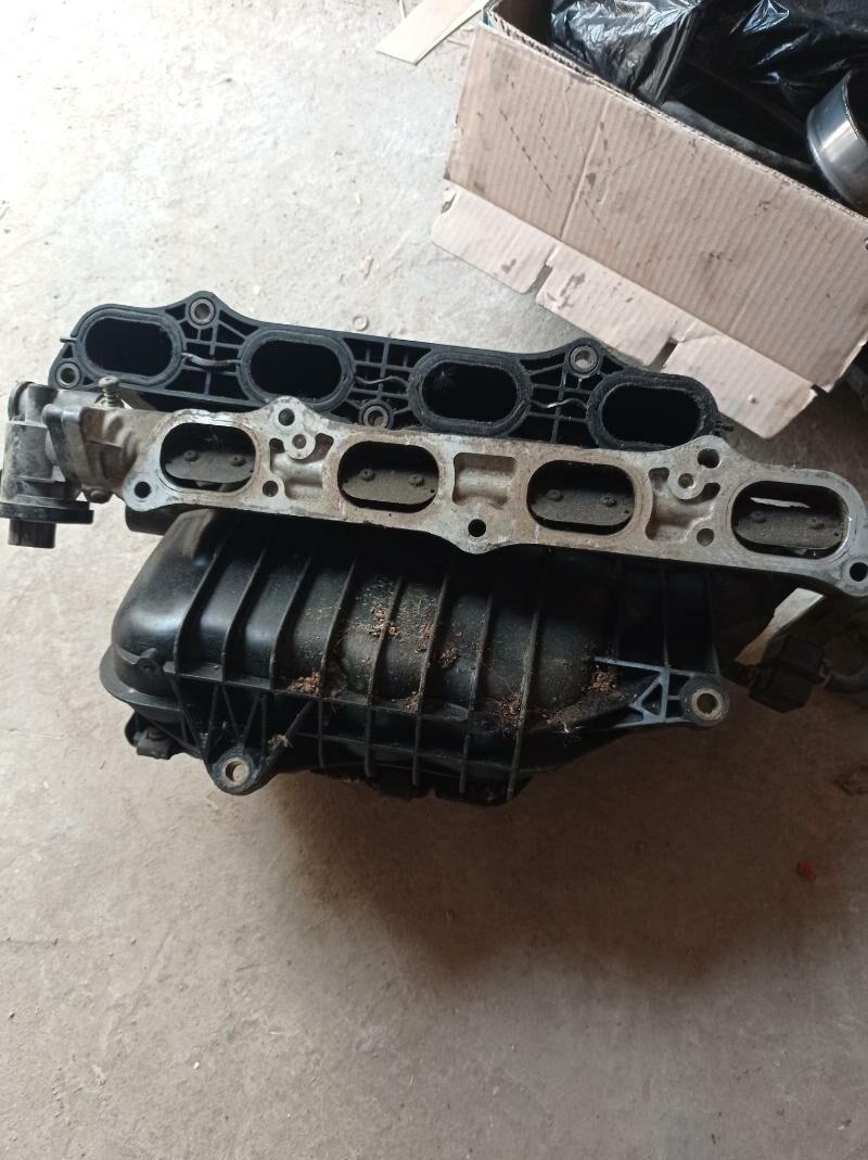 Pauk öküz kelle 2,4 600 TMT - Dänew - img 1