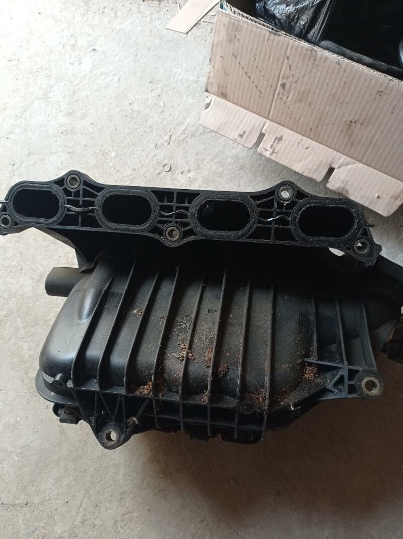 Pauk öküz kelle 2,4 600 TMT - Dänew - img 2