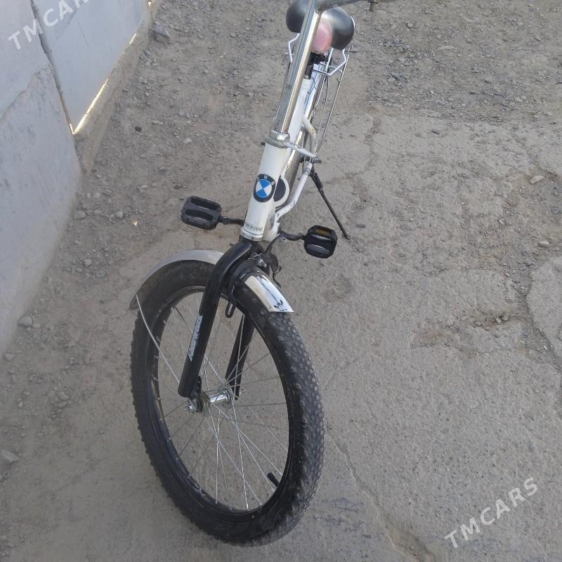 tigir - Tejen - img 2