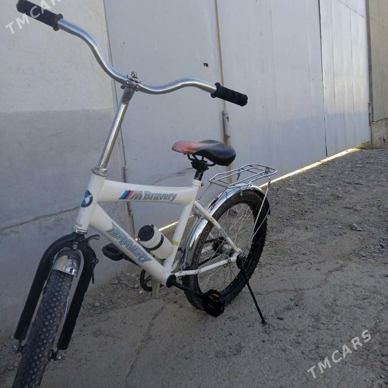 tigir - Tejen - img 3