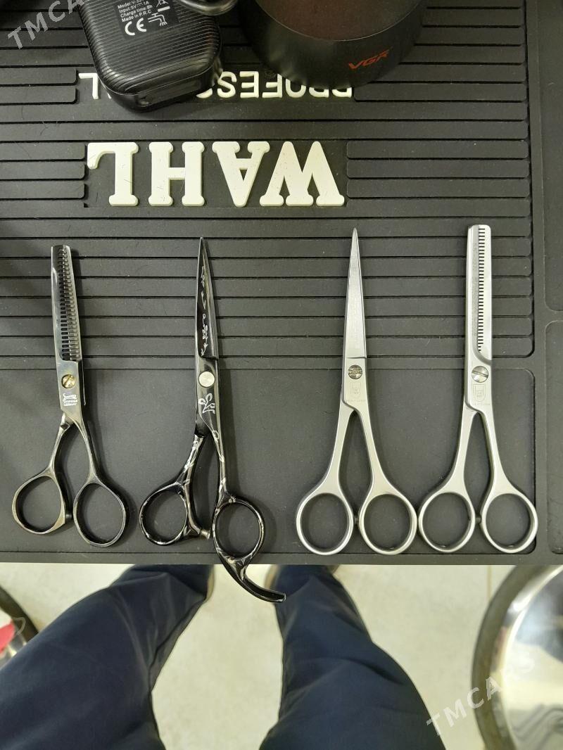 gaycy - Balkanabat - img 2