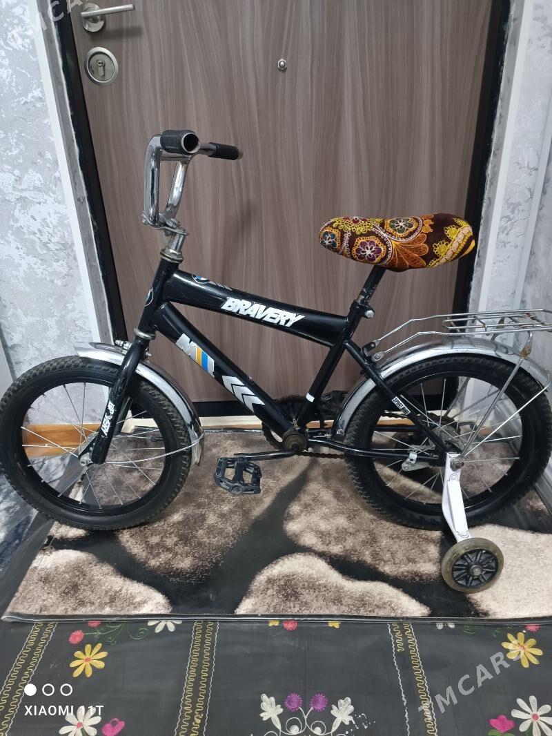 tigir - Büzmeýin GRES - img 1