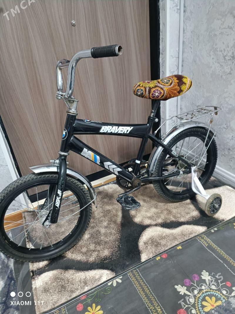 tigir - Büzmeýin GRES - img 2