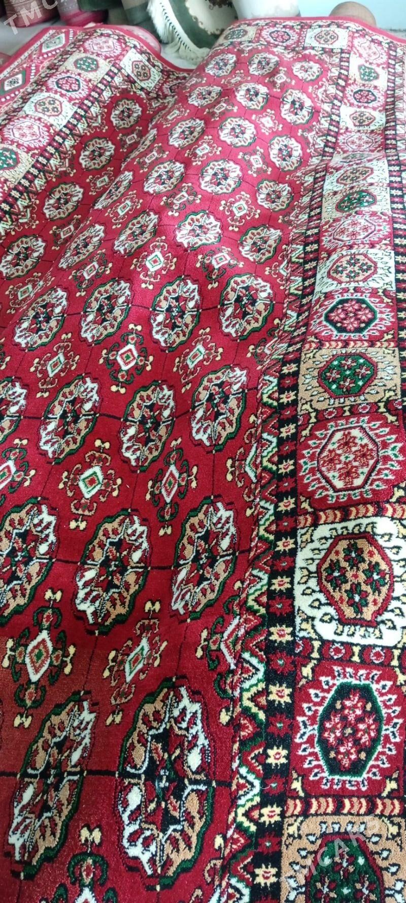 haly халы коаер - Baýramaly - img 2