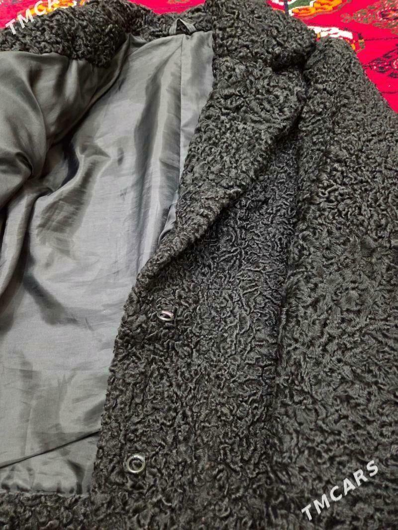 palto bagana - Ашхабад - img 2