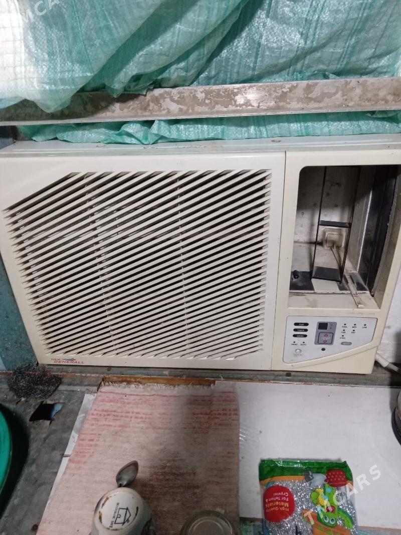 General - Mary - img 3