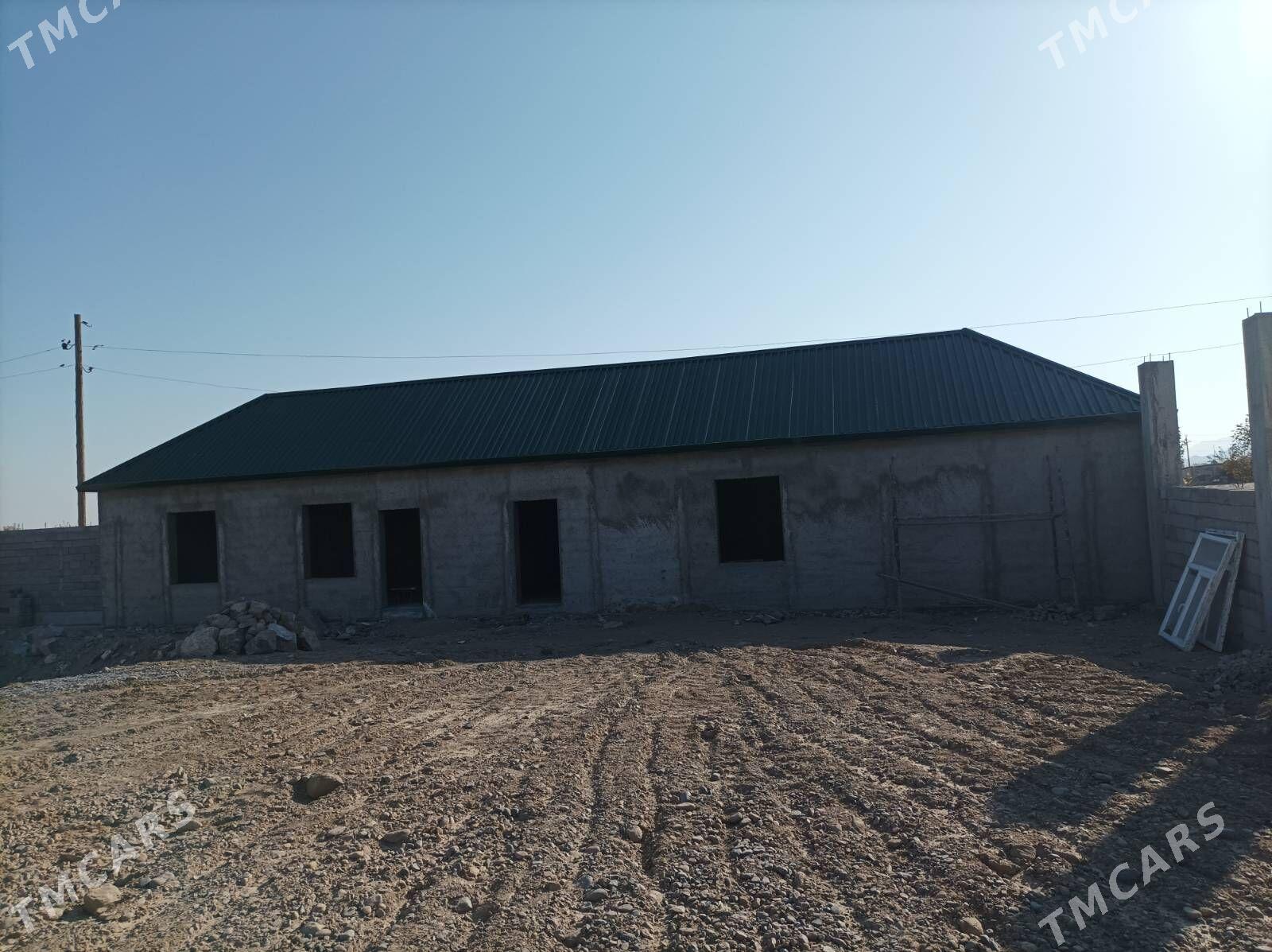 satlyk jay - Ak bugdaý etraby - img 2