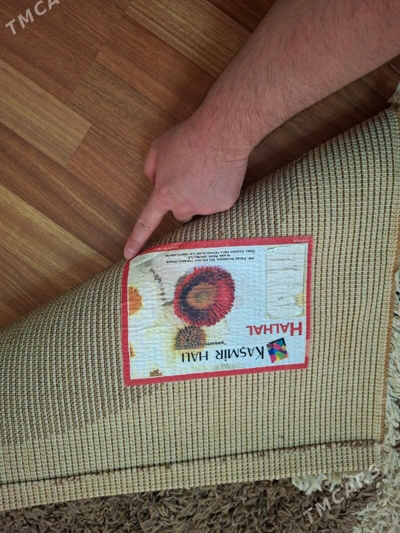 haly - Aşgabat - img 2