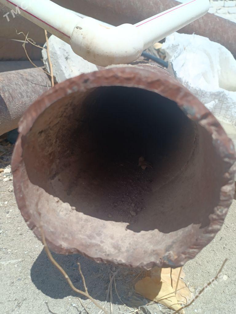 Turba - Gyzylarbat - img 4