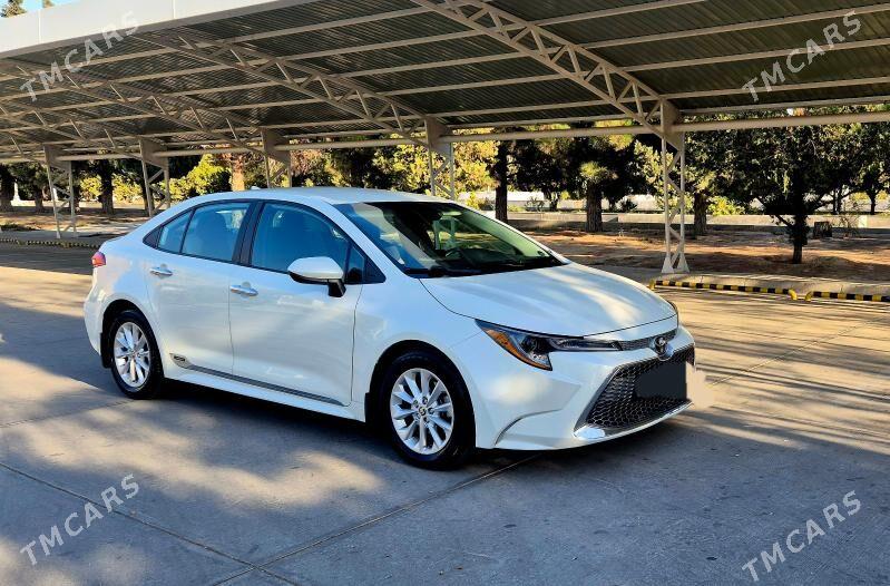 Toyota Corolla 2020 - 277 000 TMT - Balkanabat - img 5