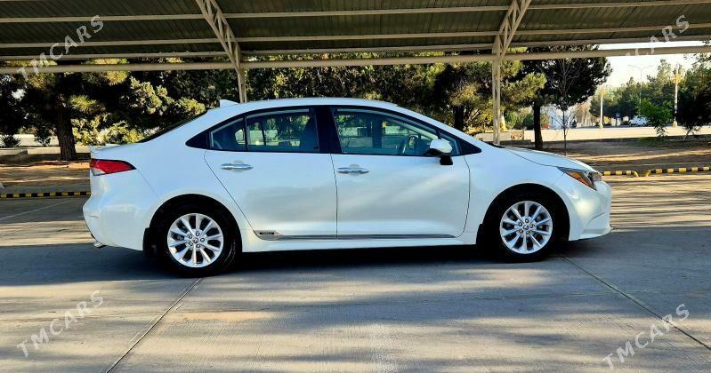 Toyota Corolla 2020 - 277 000 TMT - Balkanabat - img 2