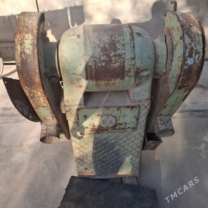 Taçila - Херрикгала - img 3