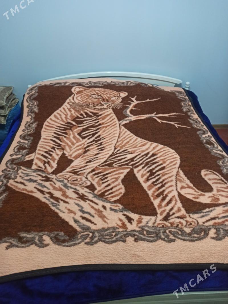 adyal - Дашогуз - img 2