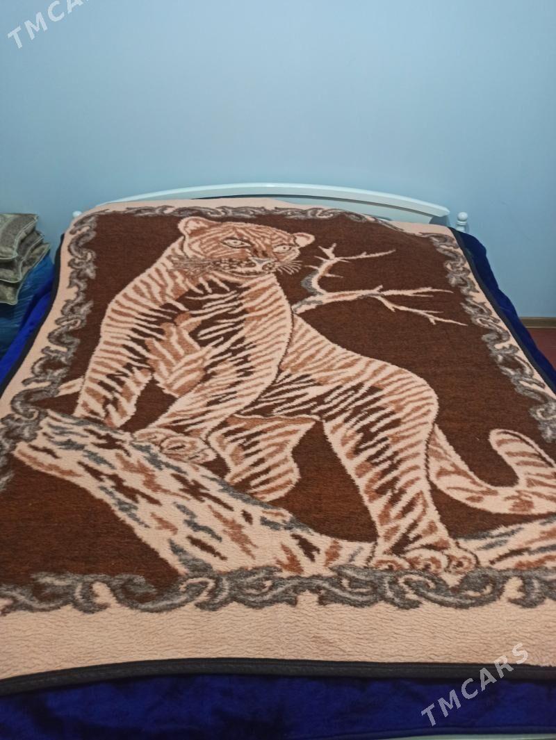 adyal - Дашогуз - img 1