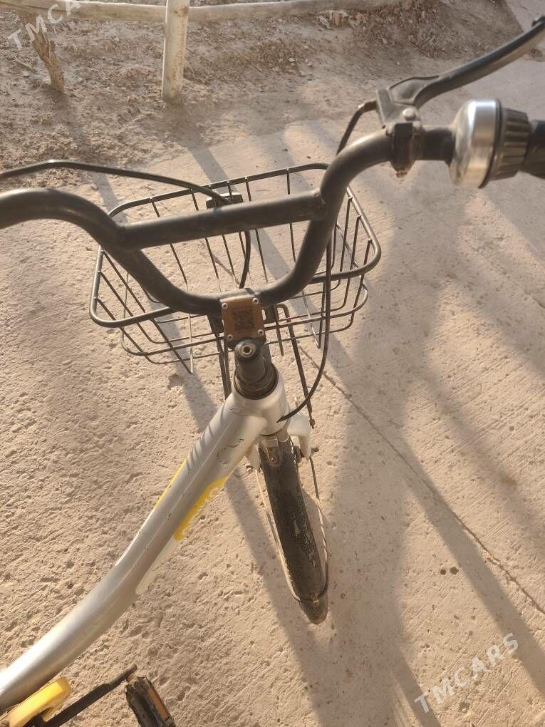 WELOSIPED - Гороглы (Тагта) - img 3