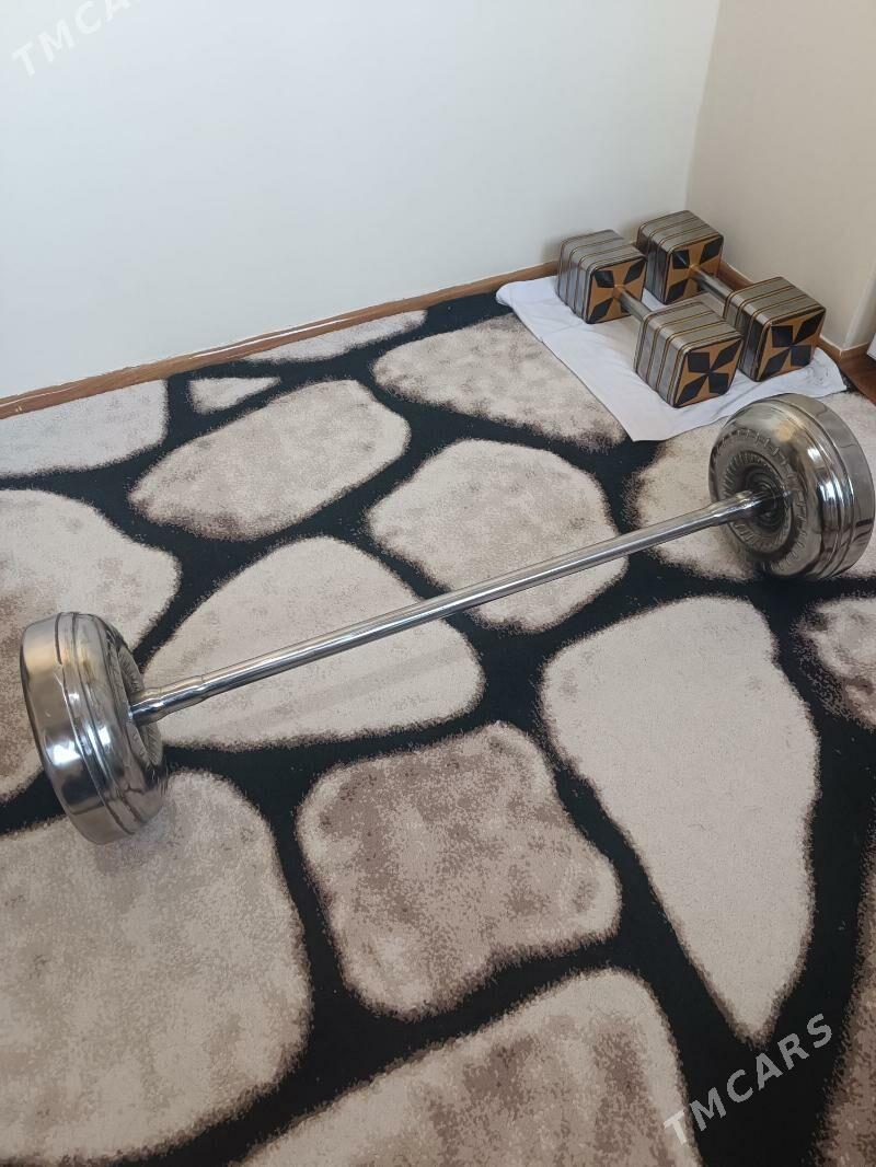 ştanga - Büzmeýin GRES - img 3