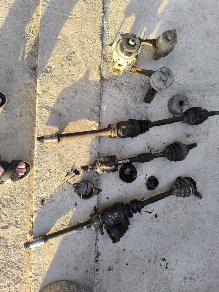 2.4 okuz kelle 1 600 TMT - Гёкдепе - img 3