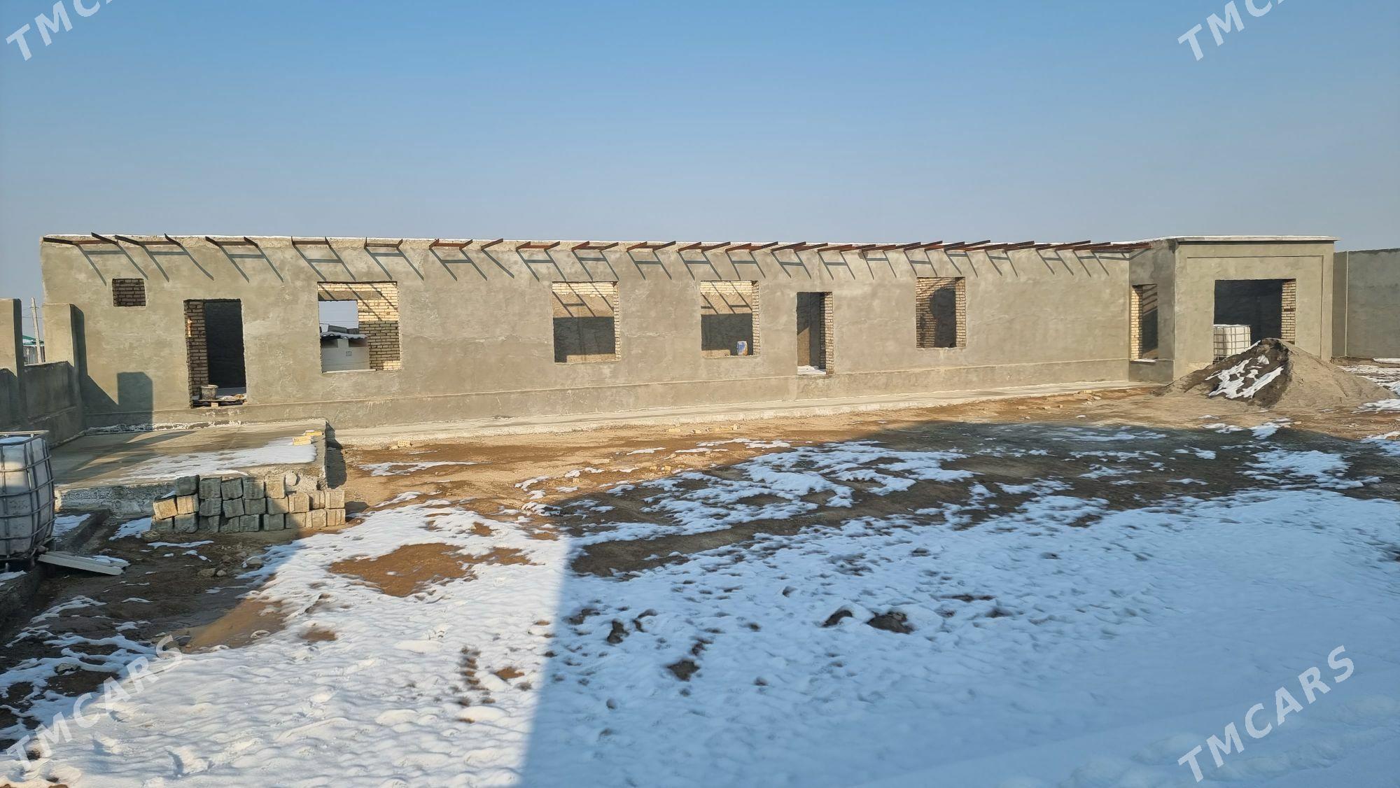 Gawers Bereketli zaman - Ak bugdaý etraby - img 4