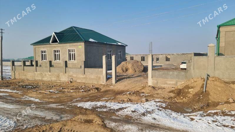 Gawers Bereketli zaman - Ak bugdaý etraby - img 3