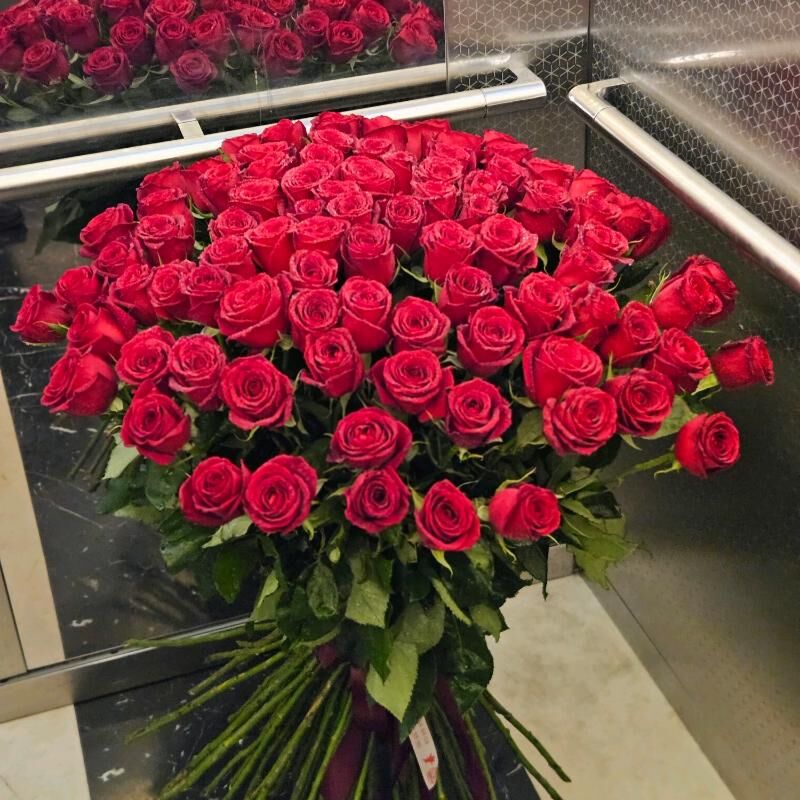 Melek Gulleri roza 24/7 - Ашхабад - img 3