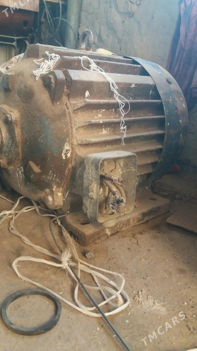 Elektra diwitel - Gyzylarbat - img 2