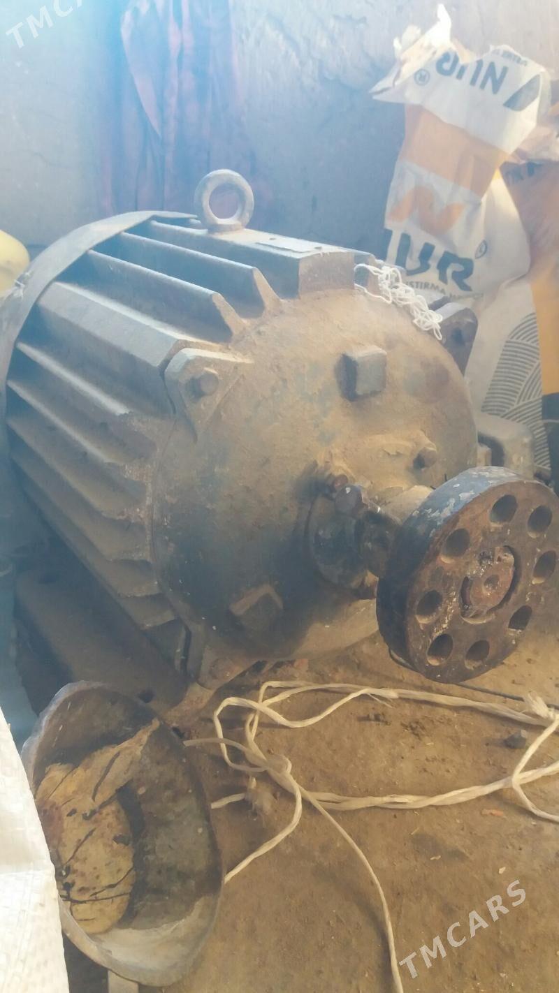 Elektra diwitel - Gyzylarbat - img 1