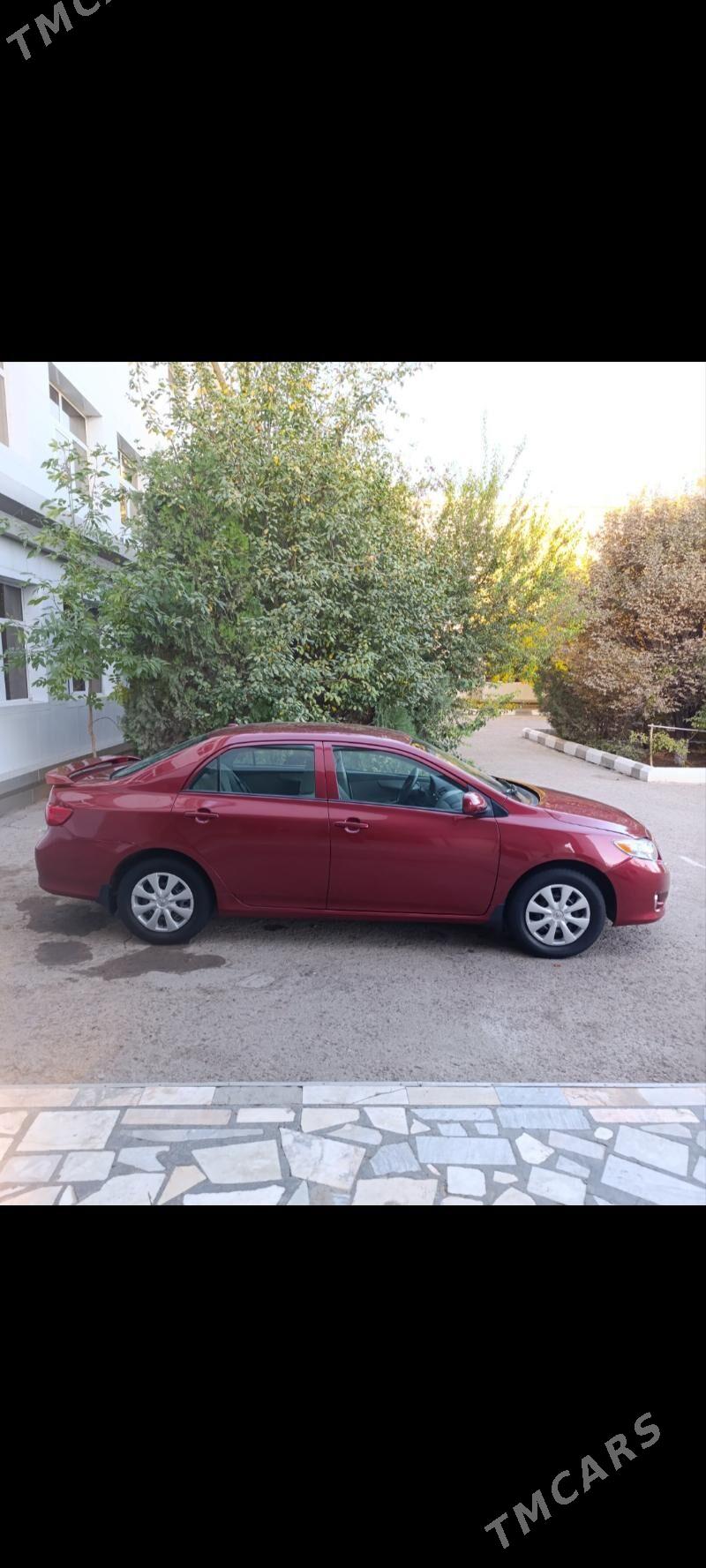 Toyota Corolla 2010 - 146 000 TMT - Görogly (Tagta) - img 3