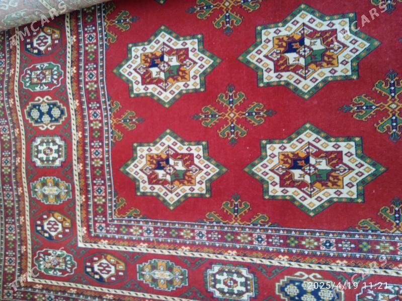 haly - Balkanabat - img 2