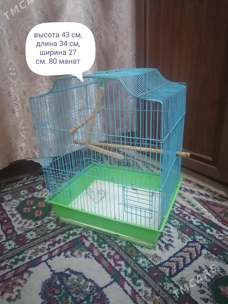 клетки - Ашхабад - img 3