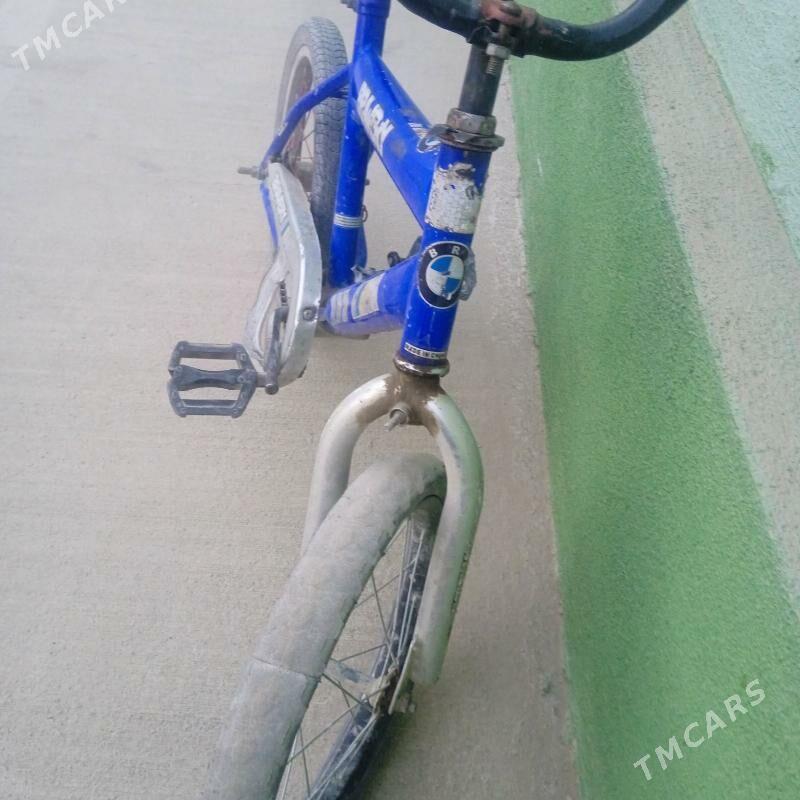 tigir - Бахарден - img 1