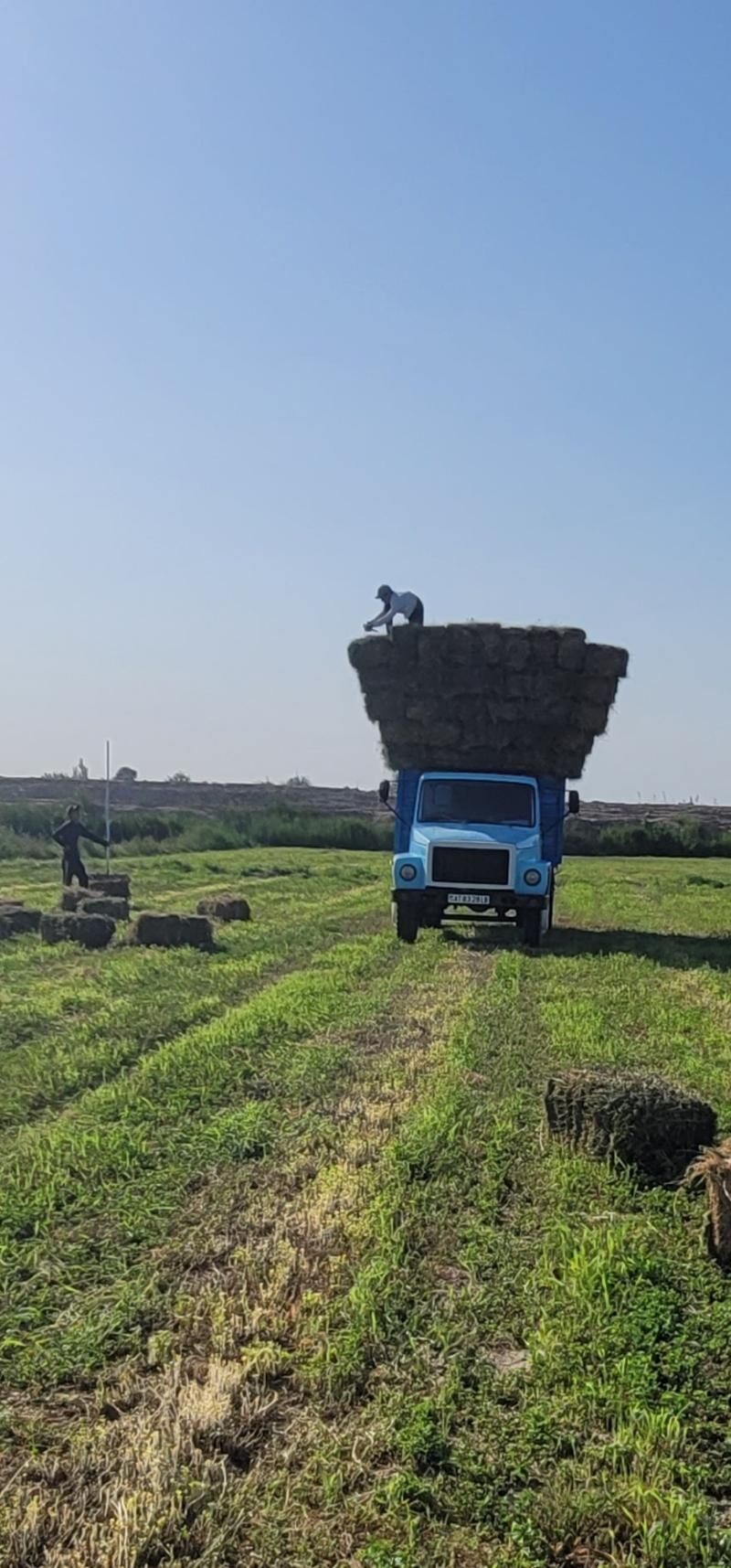 Gaz 53 1993 - 100 000 TMT - Saýat - img 4