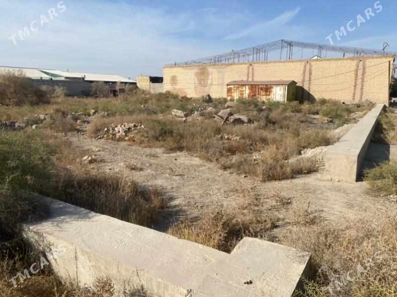 Жил поселок arzan - Türkmenabat - img 3