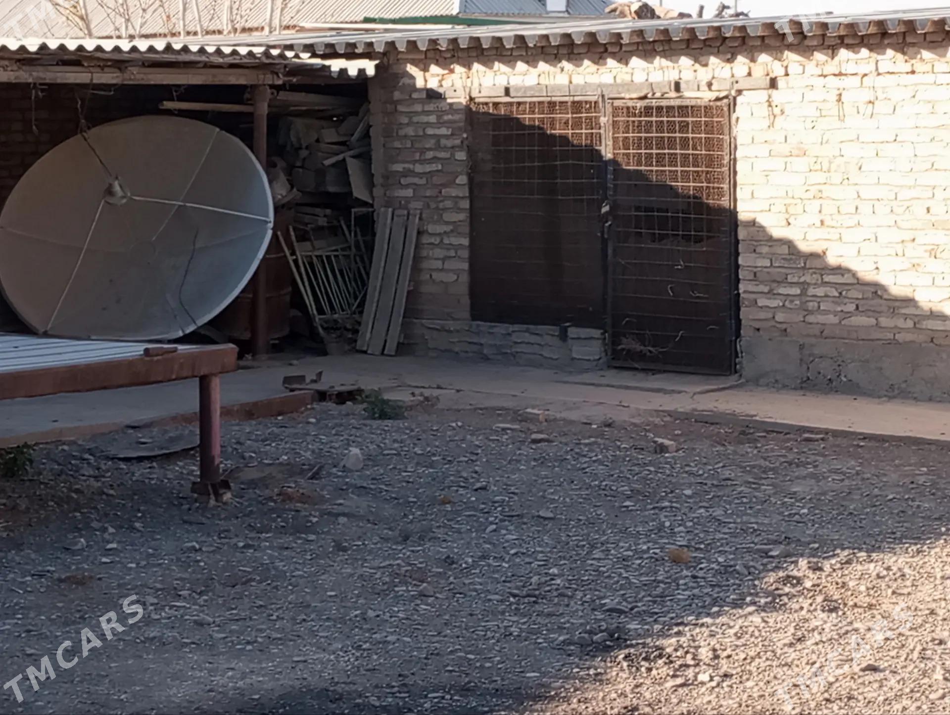 Sarahs satlyk jay - Sarahs - img 6