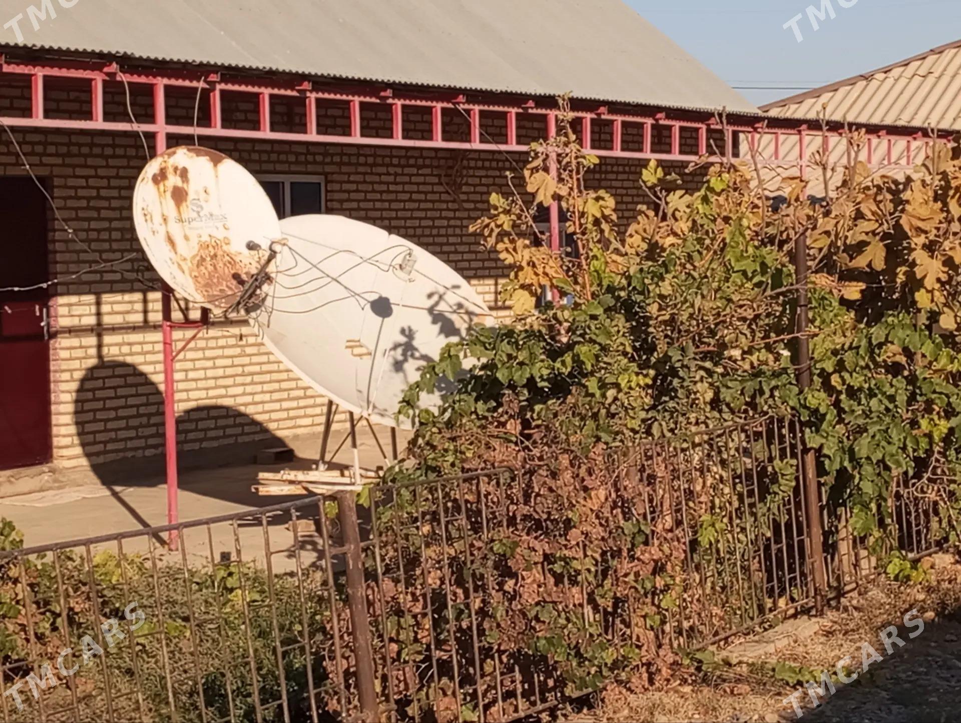 Sarahs satlyk jay - Sarahs - img 9