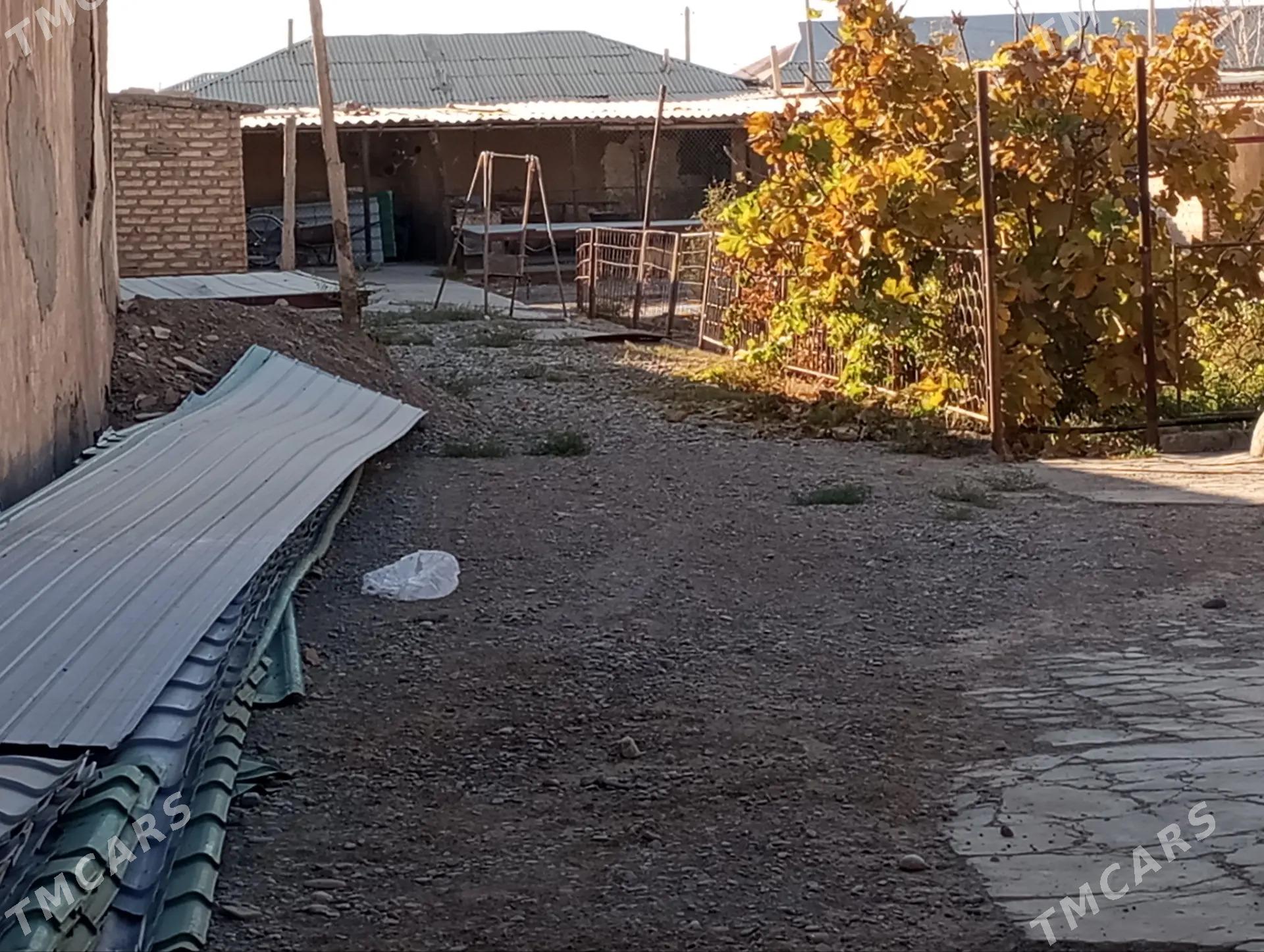 Sarahs satlyk jay - Sarahs - img 10