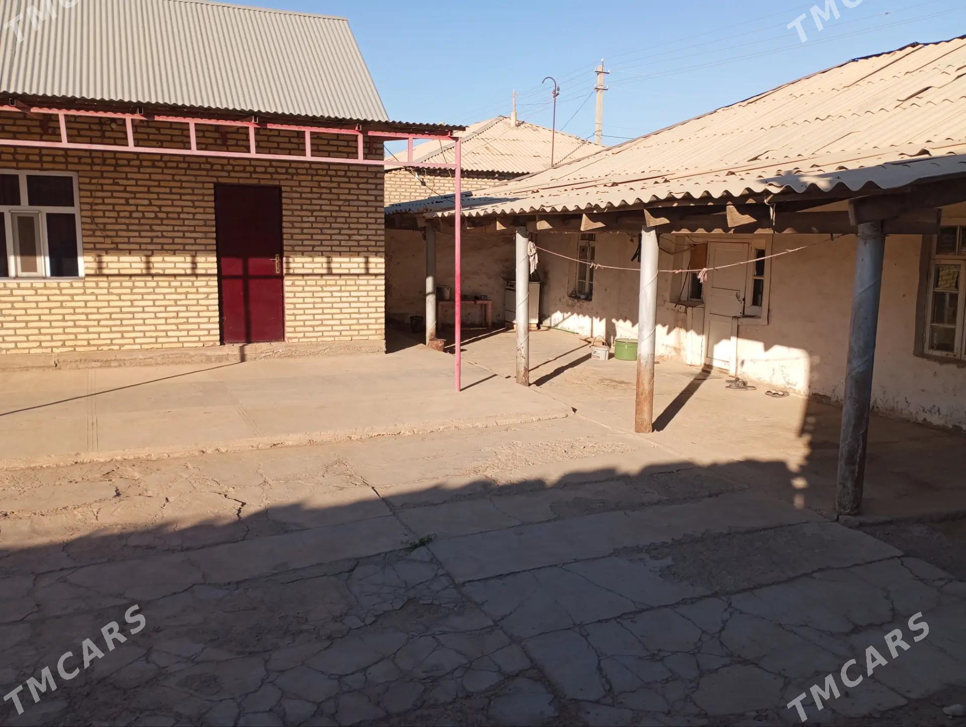 Sarahs satlyk jay - Sarahs - img 2