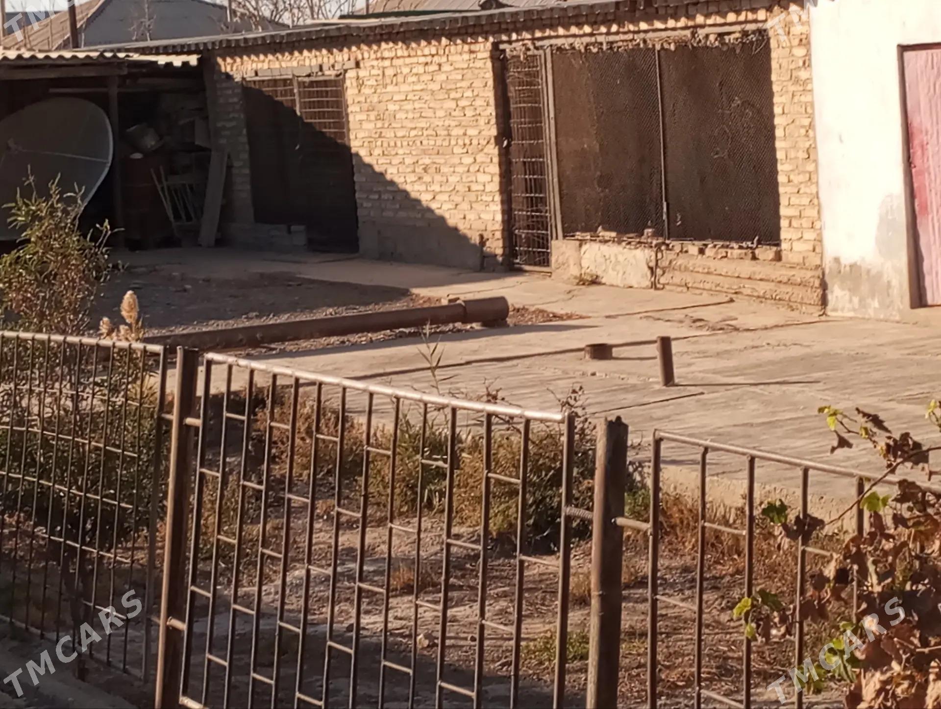 Sarahs satlyk jay - Sarahs - img 5