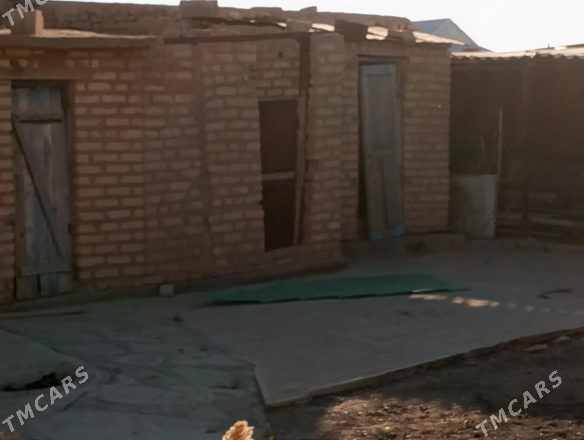 Sarahs satlyk jay - Sarahs - img 8