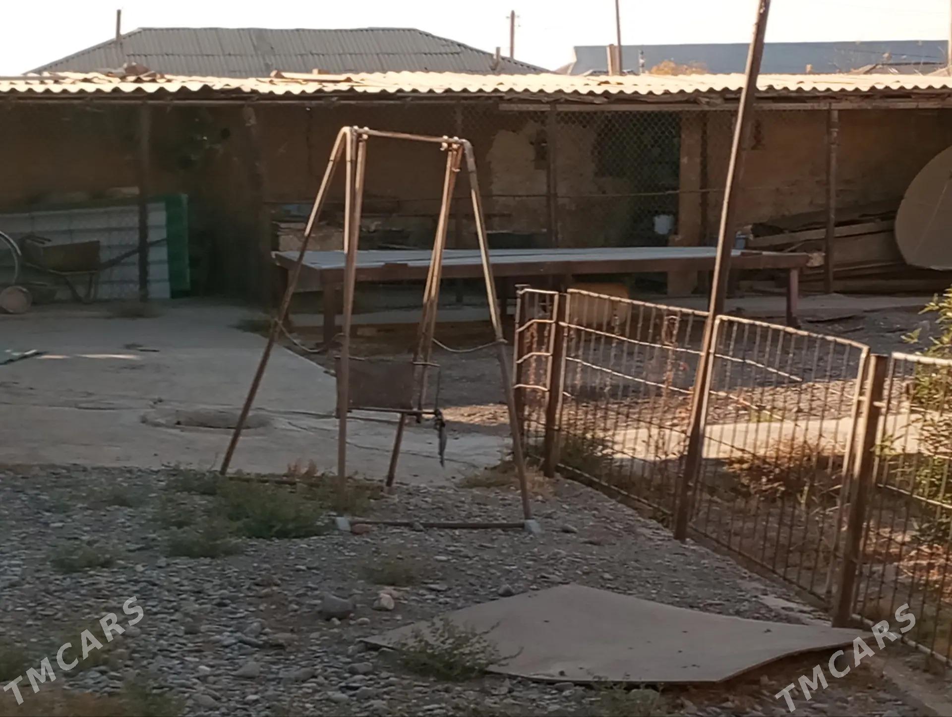 Sarahs satlyk jay - Sarahs - img 7