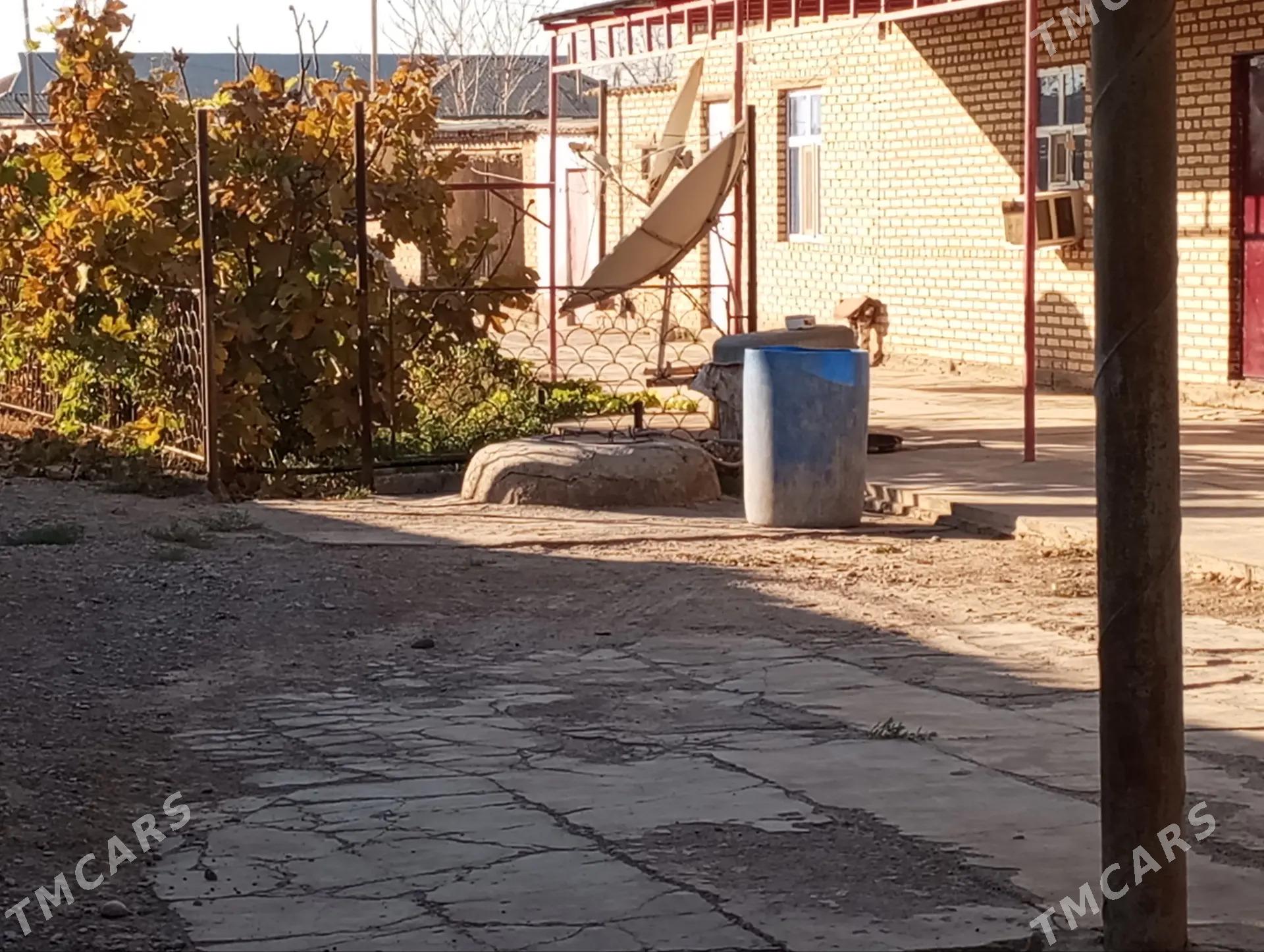 Sarahs satlyk jay - Sarahs - img 4