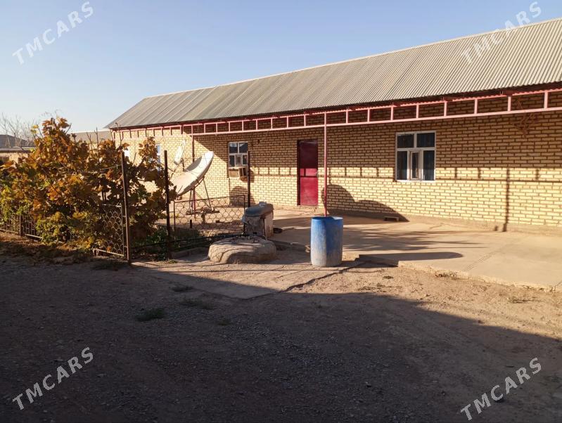 Sarahs satlyk jay - Sarahs - img 3