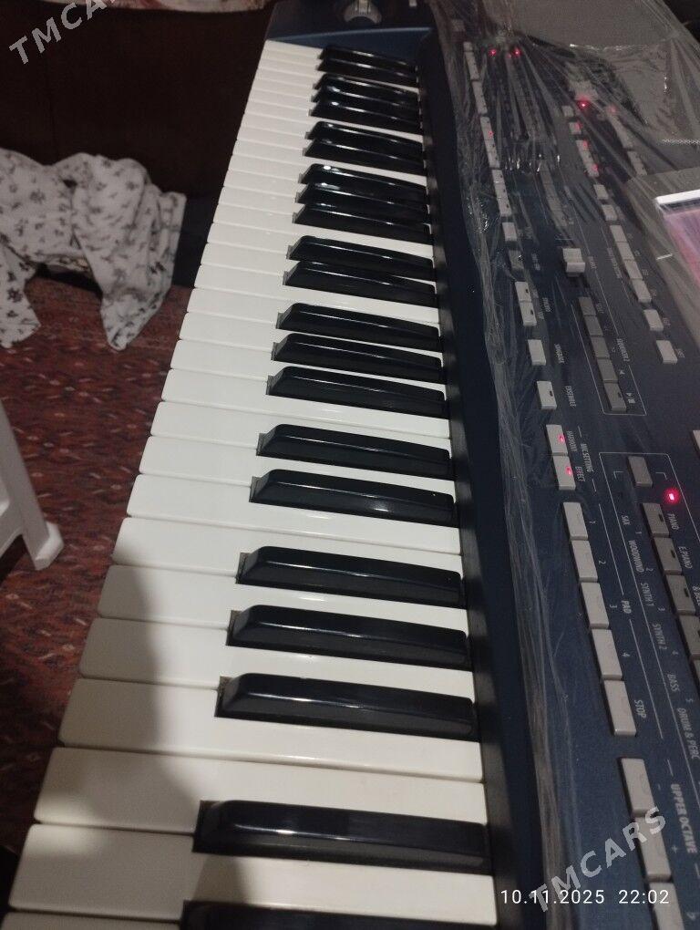 Pa. 800 - Gyzylarbat - img 5