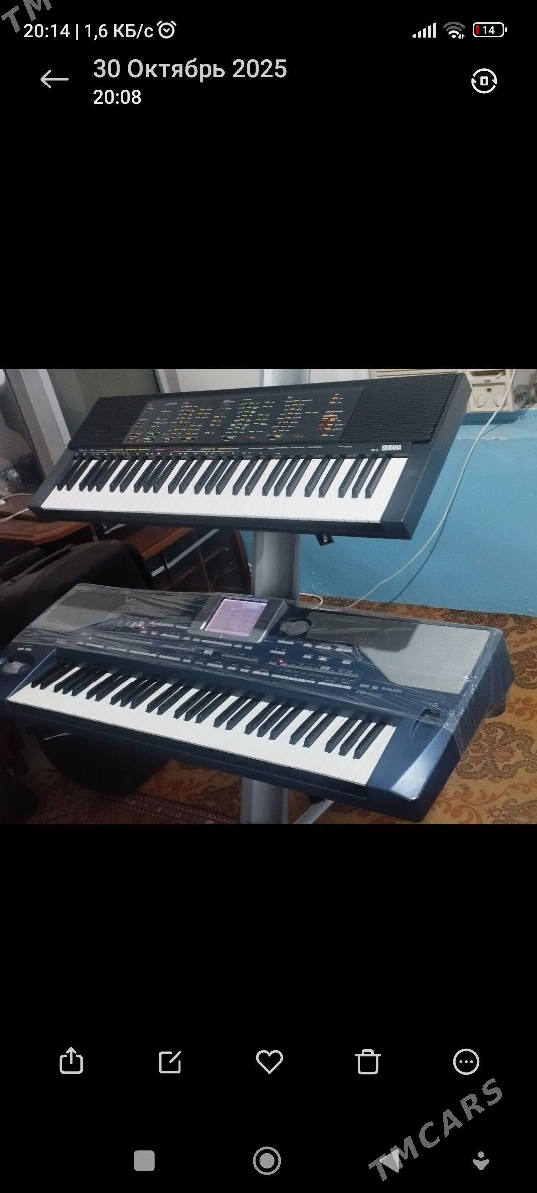 Pa. 800 - Gyzylarbat - img 9