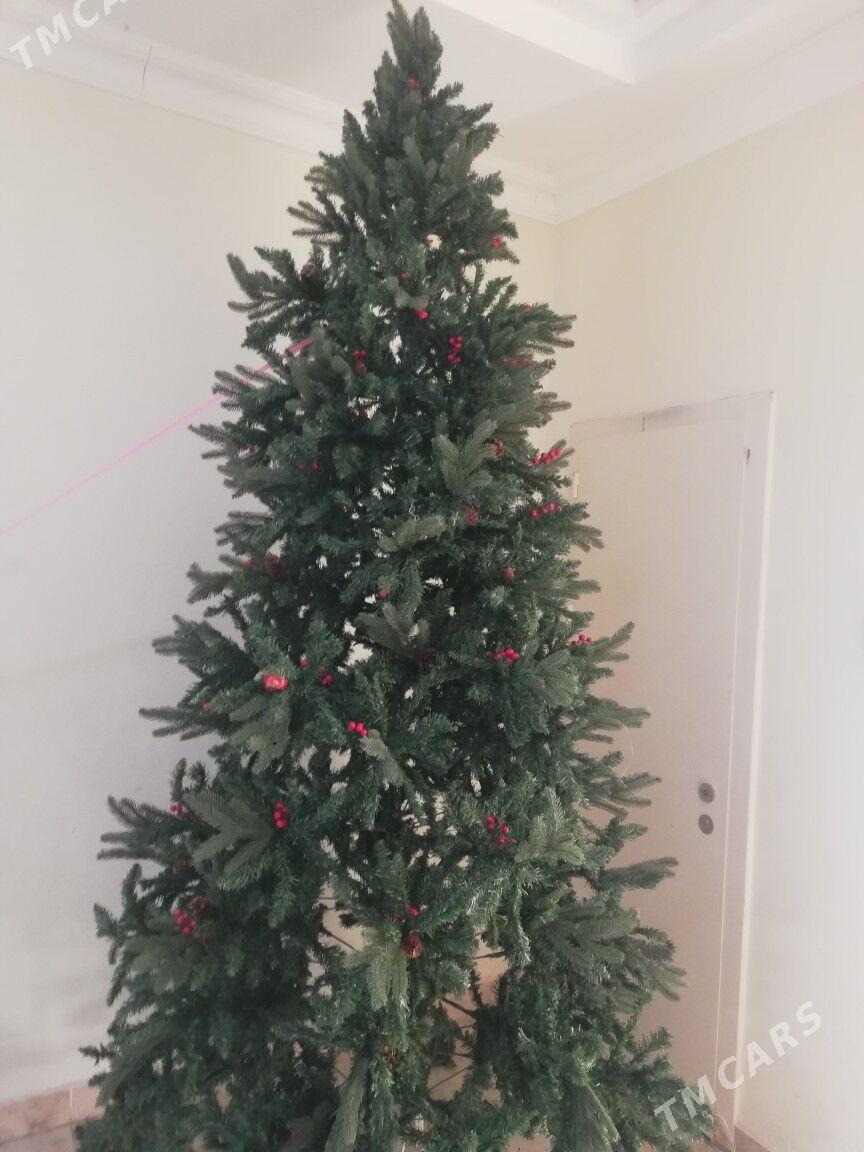 Taze yyl yolka - Ашхабад - img 2