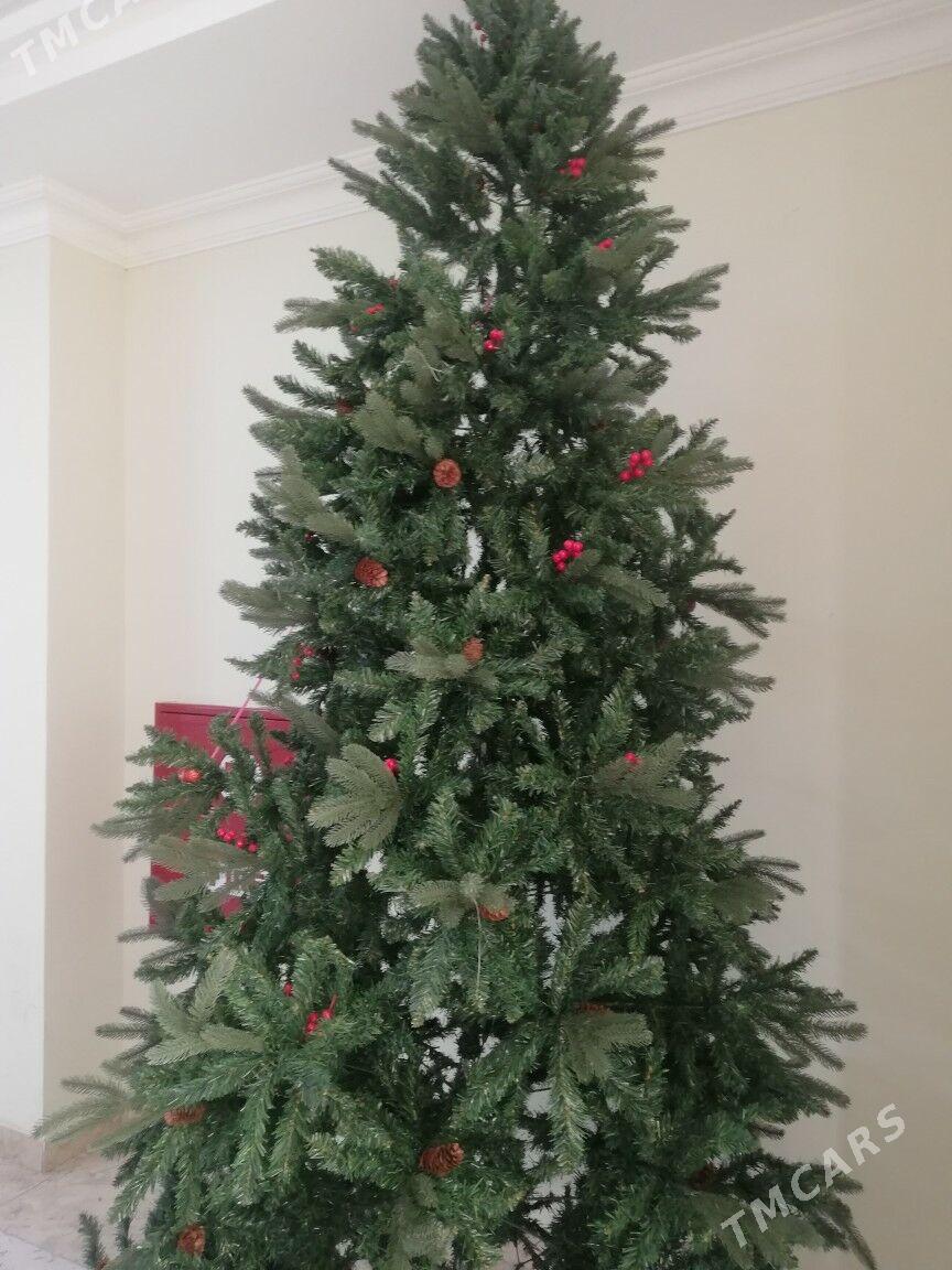 Taze yyl yolka - Ашхабад - img 3