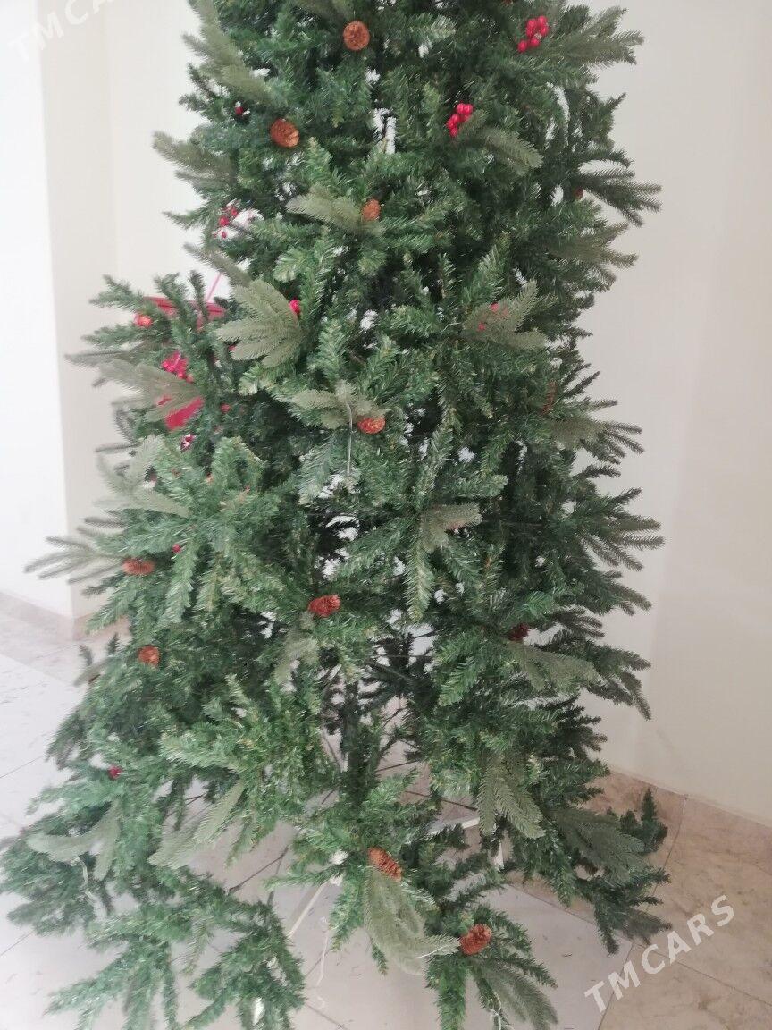 Taze yyl yolka - Ашхабад - img 1