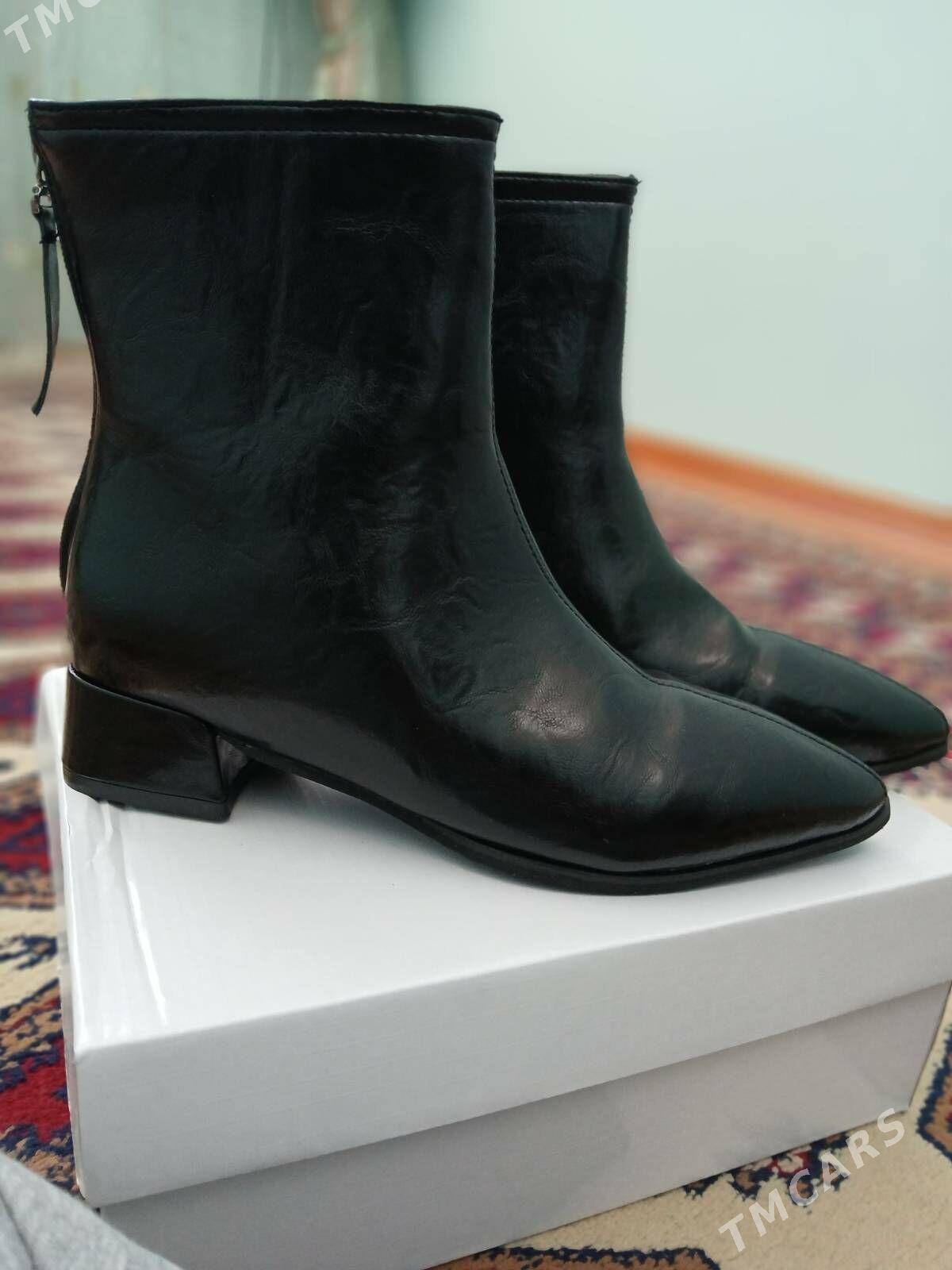 ädik - Ашхабад - img 1