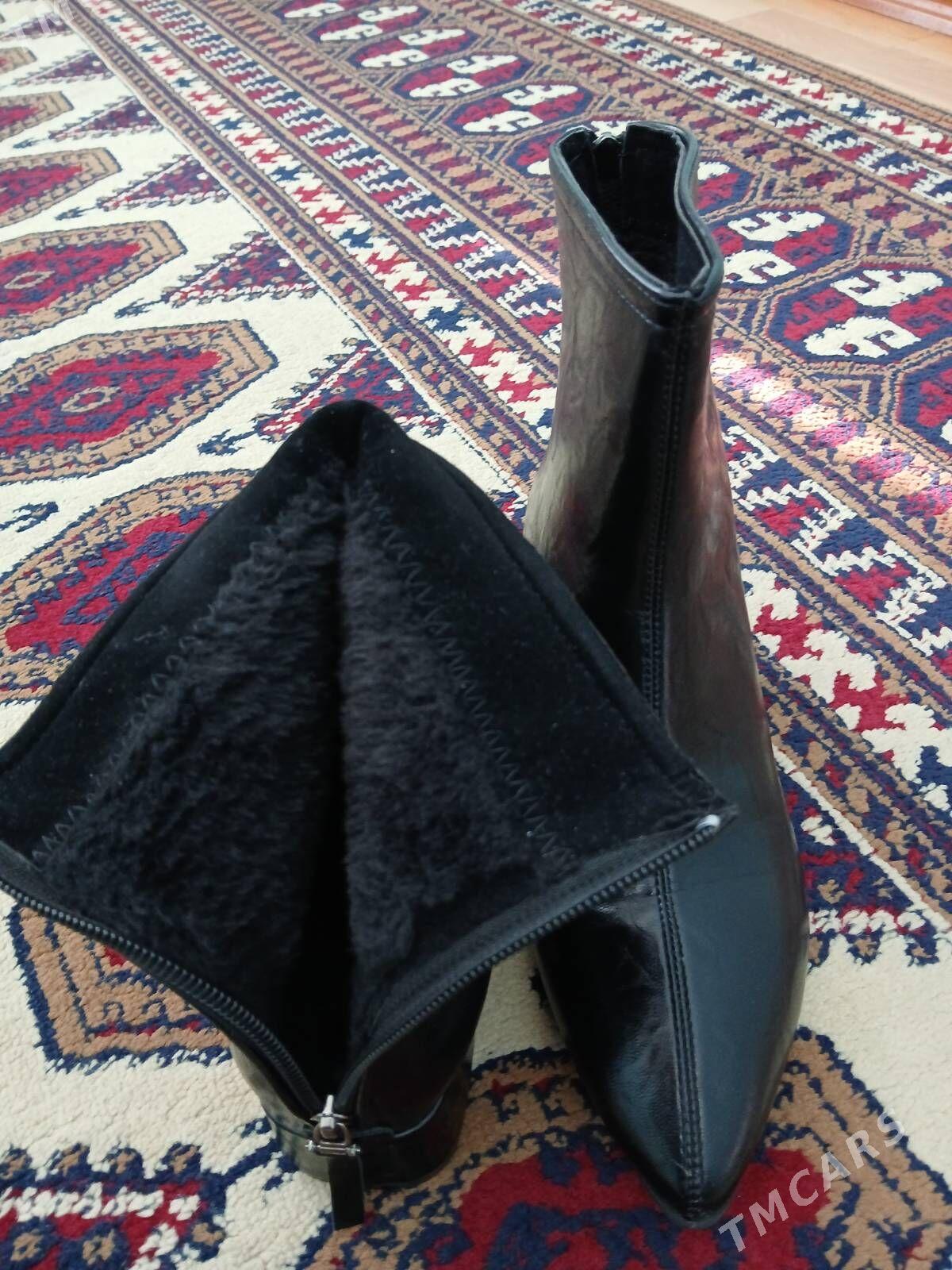 ädik - Ашхабад - img 2